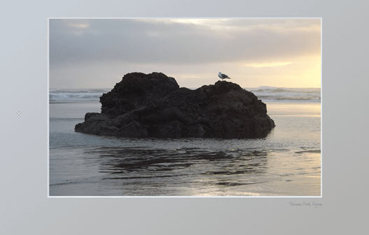 Colorful sunset with rock and artistically perched seagull